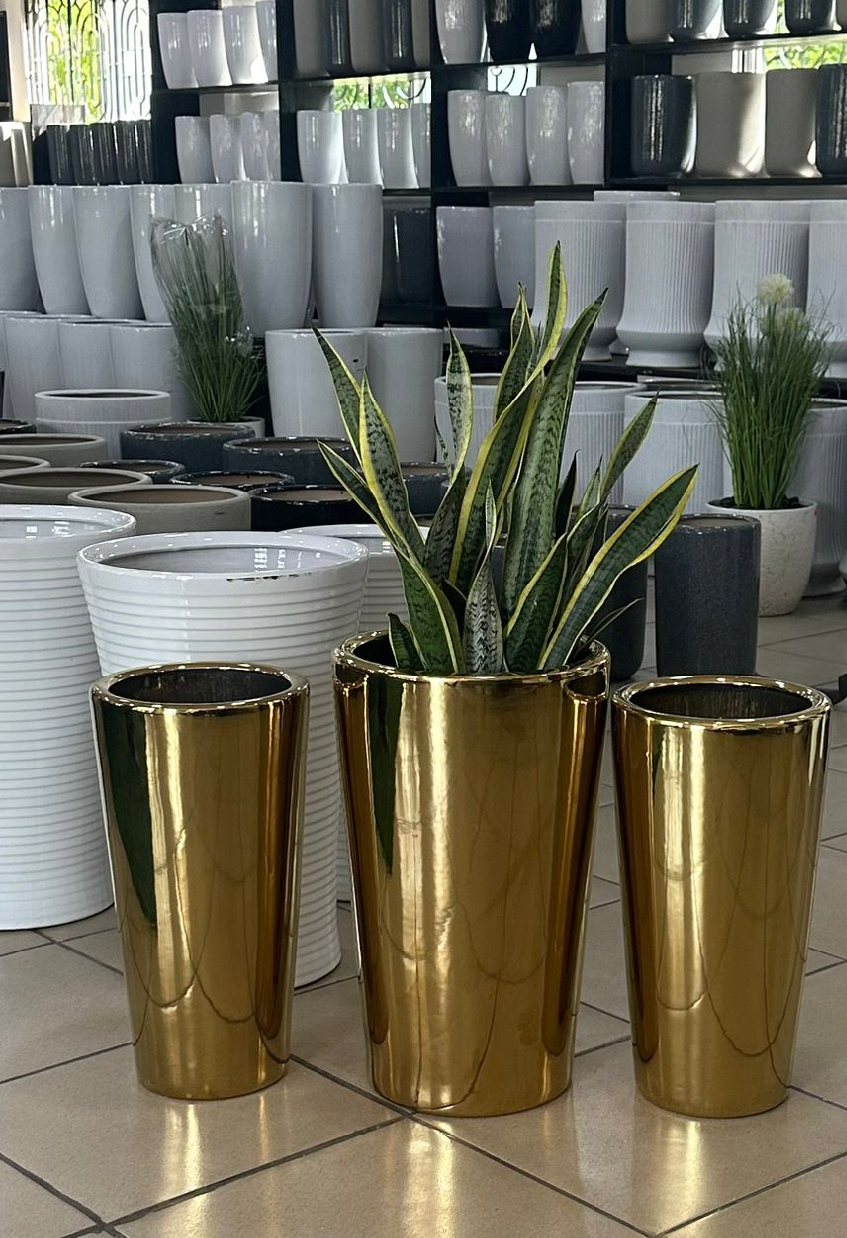 Lomi-New-Gallery-15-08